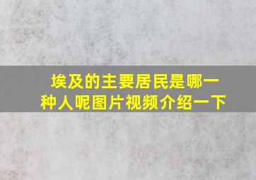 埃及的主要居民是哪一种人呢图片视频介绍一下