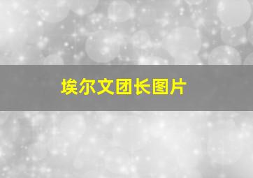 埃尔文团长图片