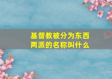 基督教被分为东西两派的名称叫什么