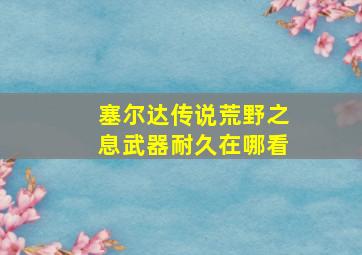 塞尔达传说荒野之息武器耐久在哪看