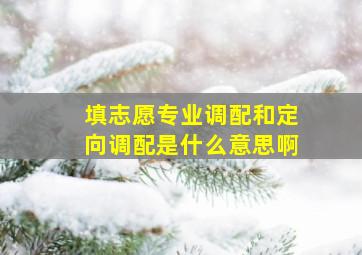 填志愿专业调配和定向调配是什么意思啊