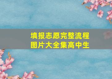 填报志愿完整流程图片大全集高中生