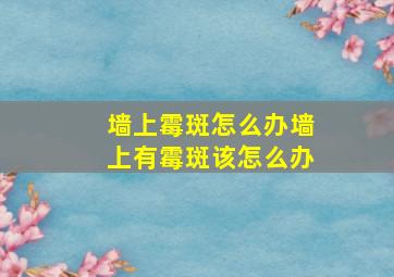 墙上霉斑怎么办墙上有霉斑该怎么办