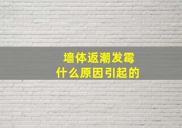 墙体返潮发霉什么原因引起的