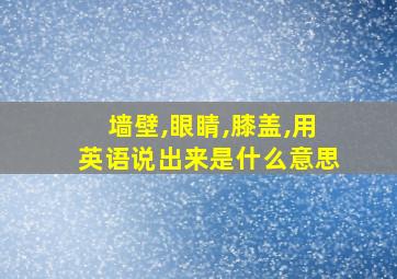 墙壁,眼睛,膝盖,用英语说出来是什么意思