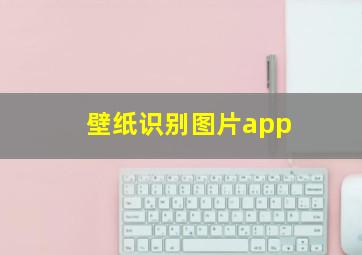 壁纸识别图片app