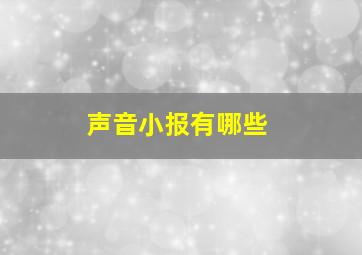 声音小报有哪些