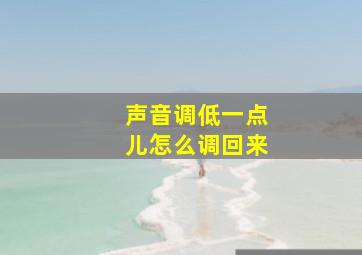 声音调低一点儿怎么调回来