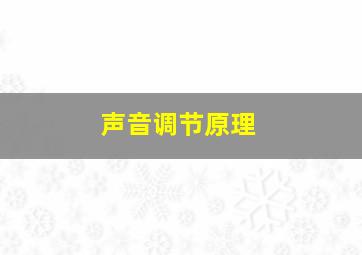 声音调节原理