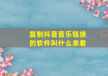 复制抖音音乐链接的软件叫什么来着