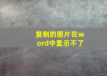 复制的图片在word中显示不了