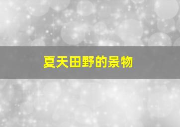 夏天田野的景物