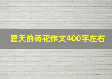 夏天的荷花作文400字左右