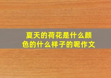 夏天的荷花是什么颜色的什么样子的呢作文