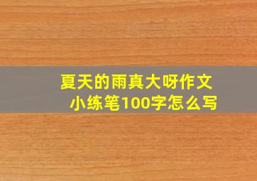 夏天的雨真大呀作文小练笔100字怎么写