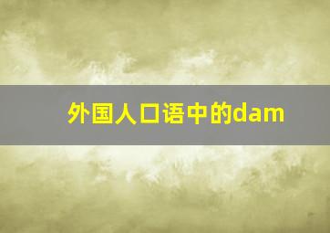 外国人口语中的dam