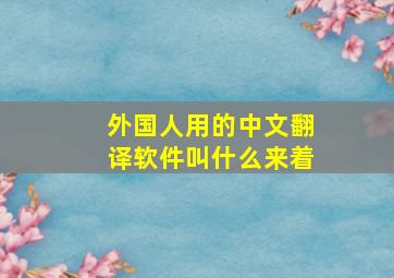 外国人用的中文翻译软件叫什么来着