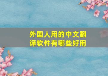 外国人用的中文翻译软件有哪些好用