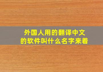 外国人用的翻译中文的软件叫什么名字来着