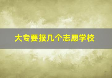 大专要报几个志愿学校