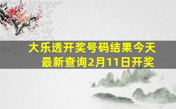 大乐透开奖号码结果今天最新查询2月11日开奖