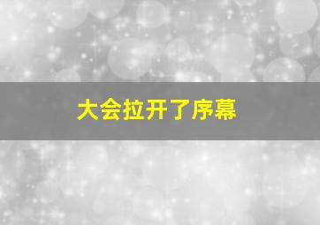 大会拉开了序幕