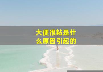 大便很粘是什么原因引起的