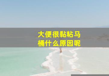 大便很黏粘马桶什么原因呢