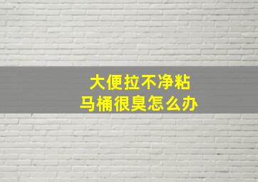 大便拉不净粘马桶很臭怎么办