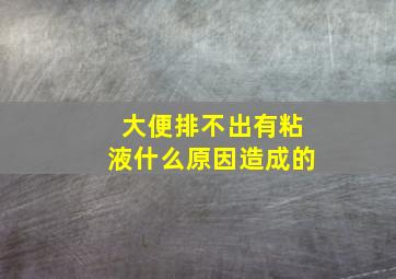 大便排不出有粘液什么原因造成的