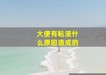 大便有粘液什么原因造成的