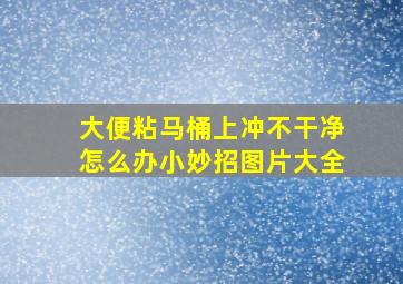 大便粘马桶上冲不干净怎么办小妙招图片大全