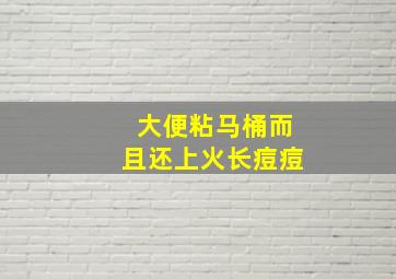 大便粘马桶而且还上火长痘痘