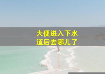 大便进入下水道后去哪儿了