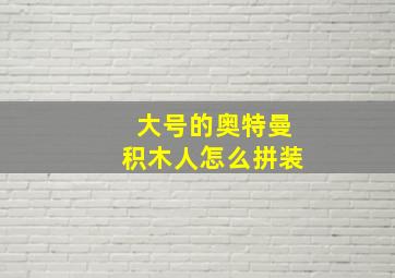 大号的奥特曼积木人怎么拼装