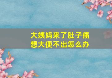 大姨妈来了肚子痛想大便不出怎么办