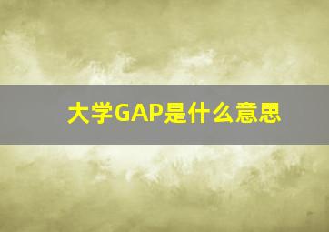 大学GAP是什么意思