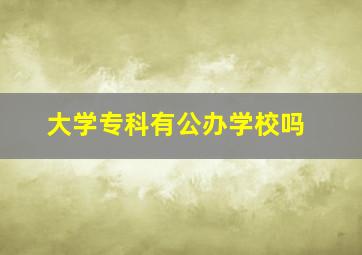 大学专科有公办学校吗