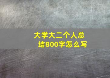 大学大二个人总结800字怎么写