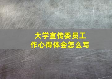 大学宣传委员工作心得体会怎么写