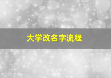 大学改名字流程