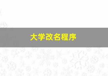 大学改名程序