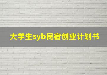 大学生syb民宿创业计划书