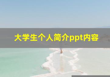 大学生个人简介ppt内容