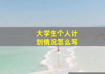 大学生个人计划情况怎么写