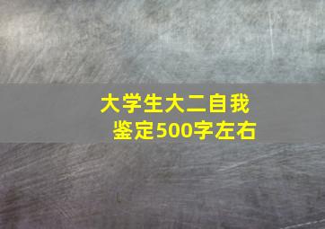 大学生大二自我鉴定500字左右