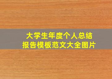 大学生年度个人总结报告模板范文大全图片