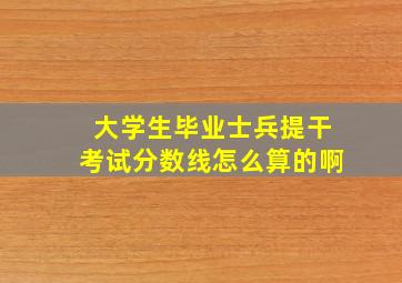 大学生毕业士兵提干考试分数线怎么算的啊