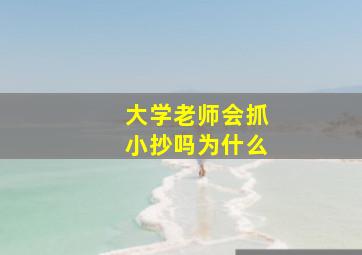 大学老师会抓小抄吗为什么