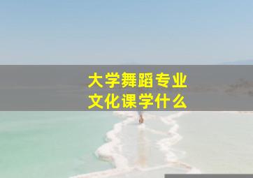 大学舞蹈专业文化课学什么